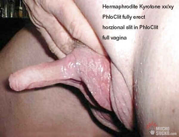 long clit hermaphrodite