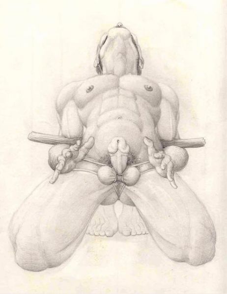 femdom male bondage art