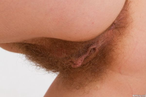 hairy mexican pussy