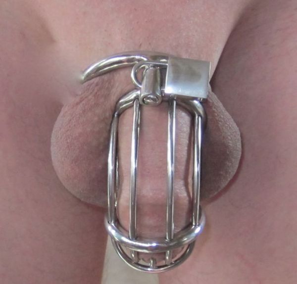 chastity device in public