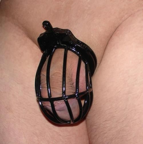 permanent feminized chastity sissy male