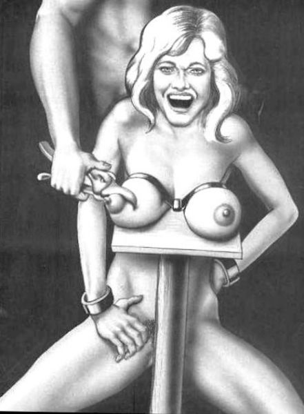fucked from behind bdsm art