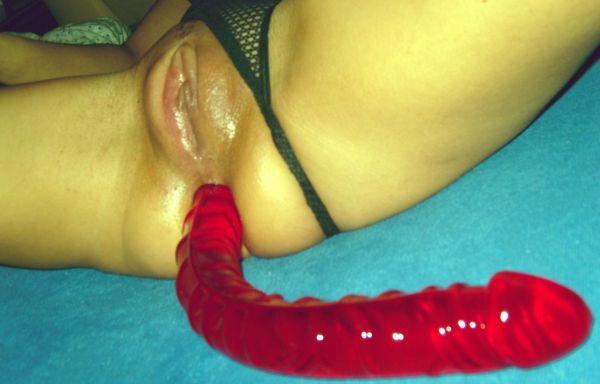 snake in pussy