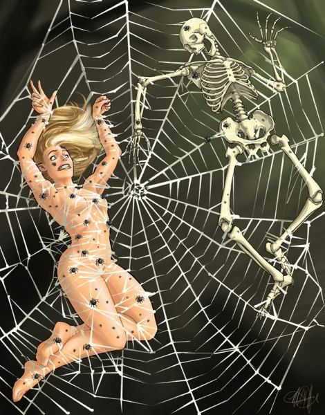 spider web lingerie