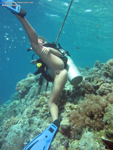 beautiful diving