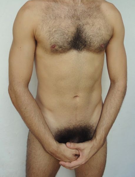 hairy gay porn stars