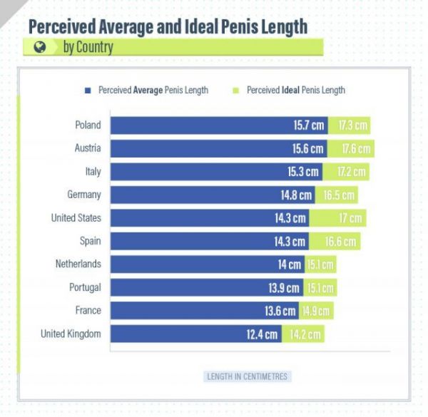 naked average penis size