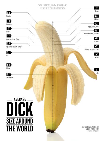 real average penis size