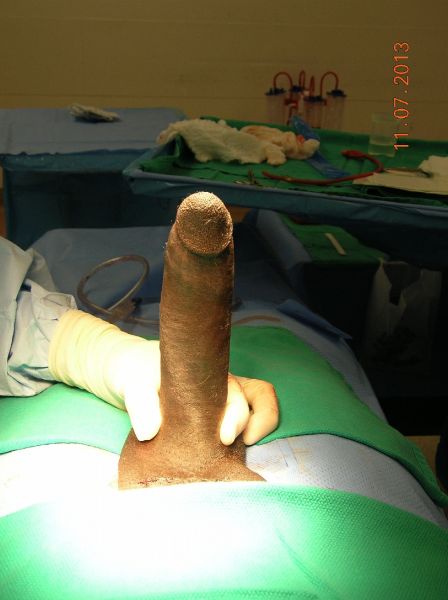 penis insertion sex gif