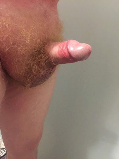 erect penis pov