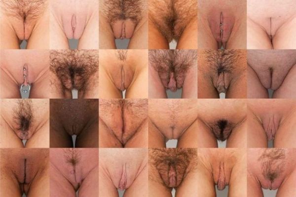 nude women pussy lips