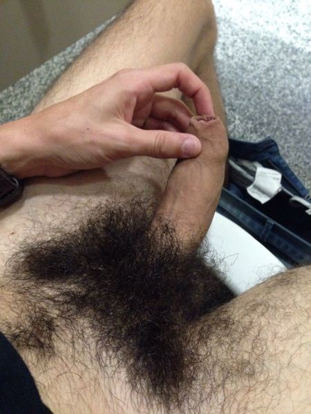blonde hairy male penis