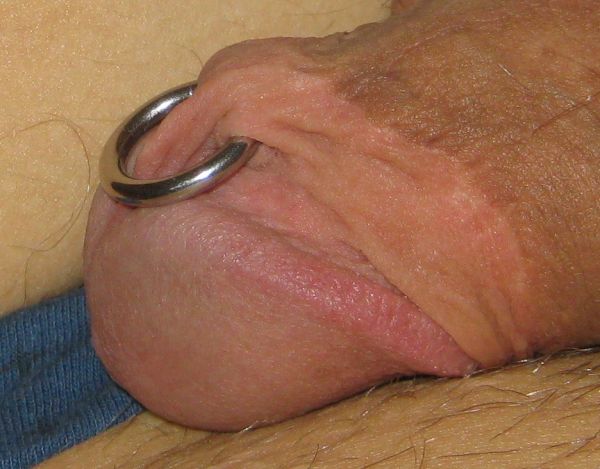 nude shemale penis vagina