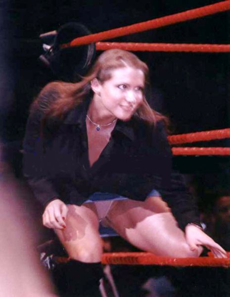 ashley lauren shawn michaels