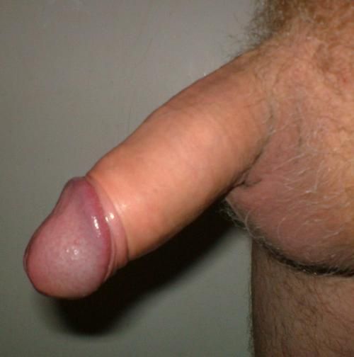 shaved uncut cock gay