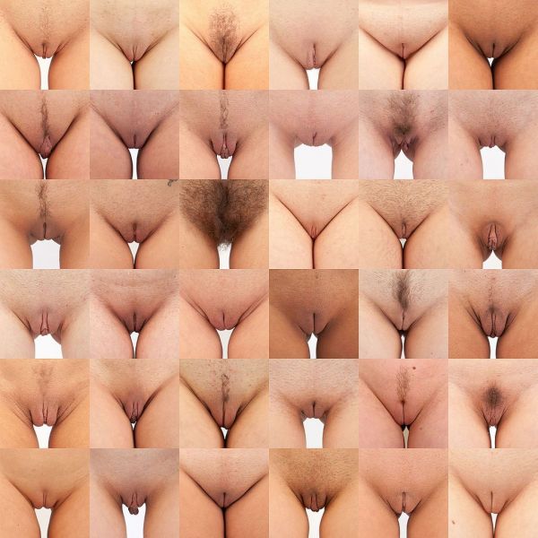 porn vagina sizes