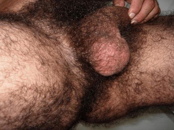 man hairy balls gay gif