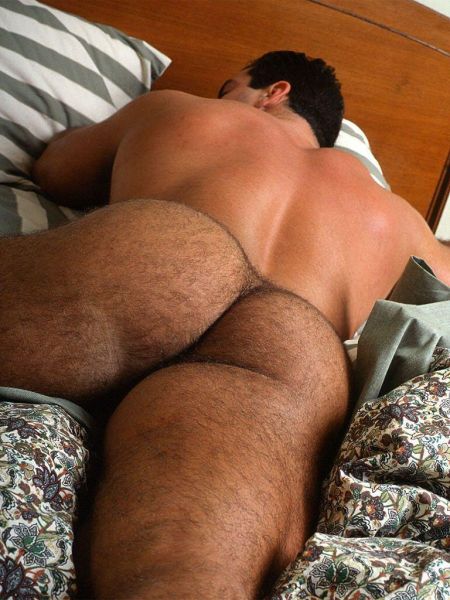gay men with hairy cocks