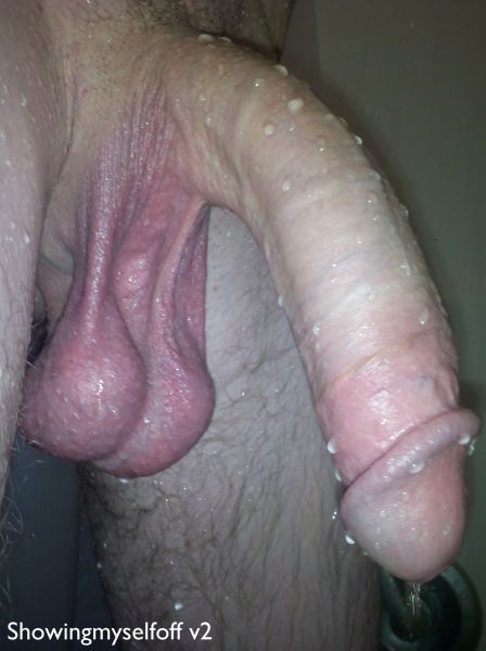 huge cocks wet pussy panties