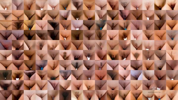 pantyhose sex collection
