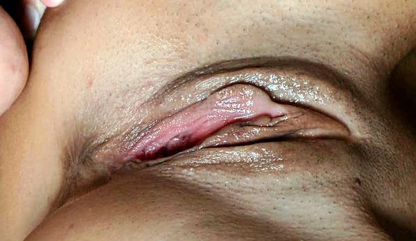 sexy vulva