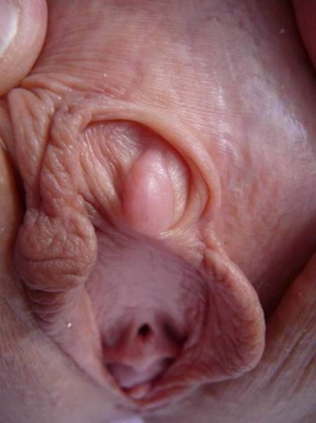 fingering your ass hole