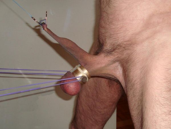 penis insertion in pussy