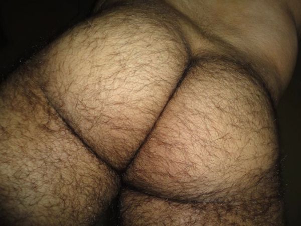 gay hairy muscle butt