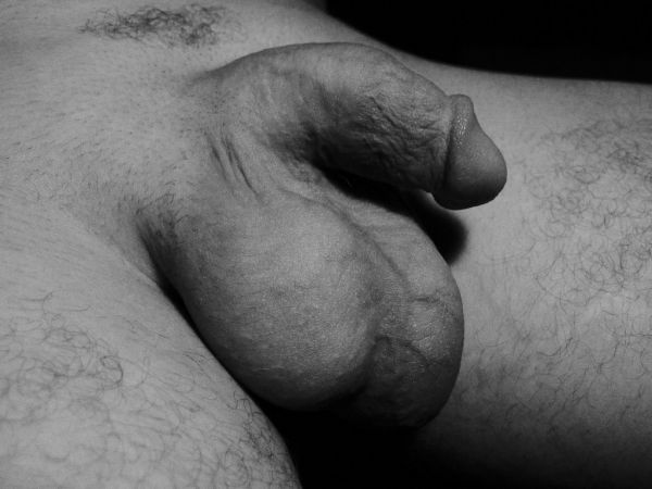 hairy muscle men huge balls