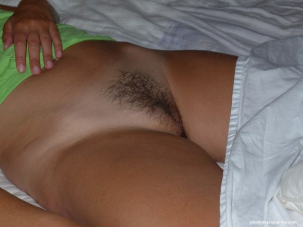 hairy camel toe vagina