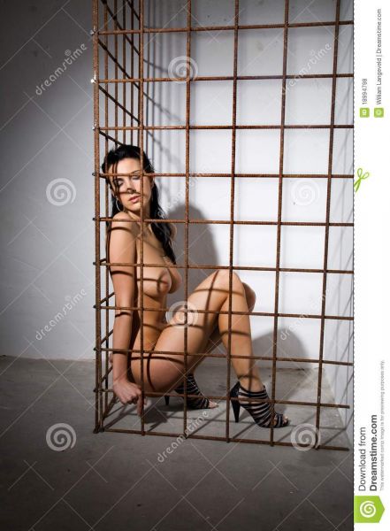 tree in cage