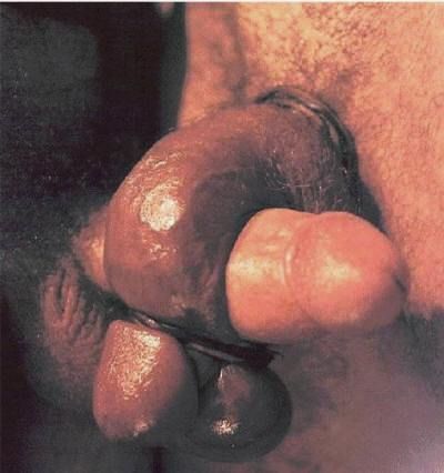 hard penis in pussy