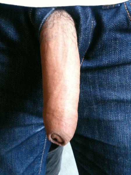shemale cock bulge in pants