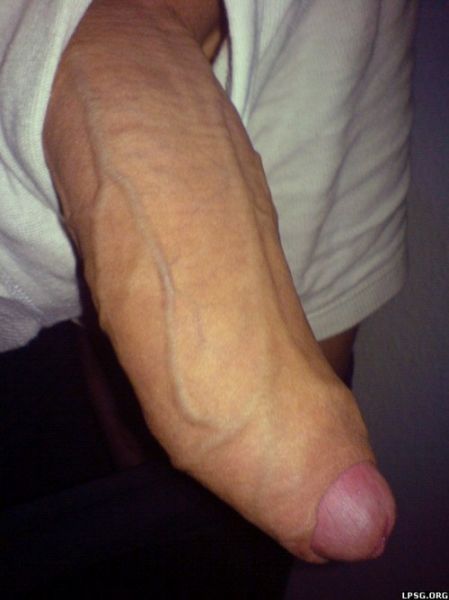 hairy uncut cock soft