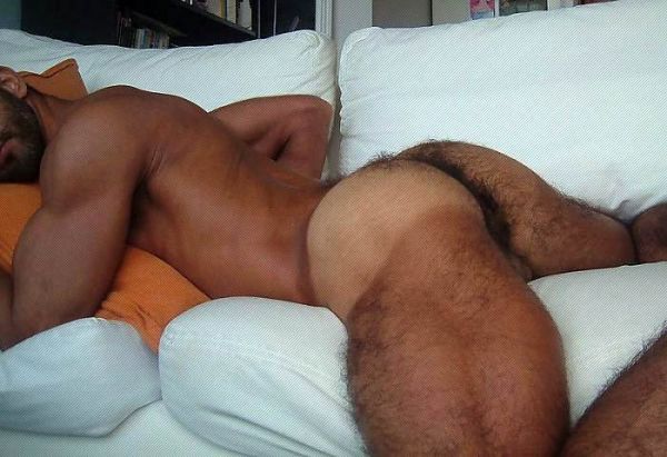 hottest hairy male ass