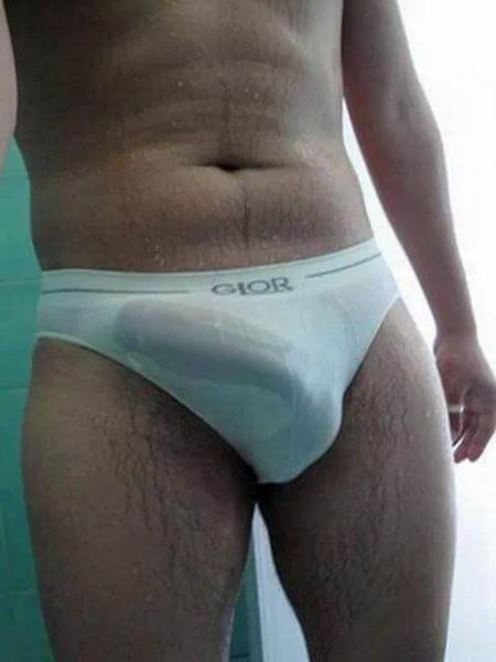 my cock bulge underwear
