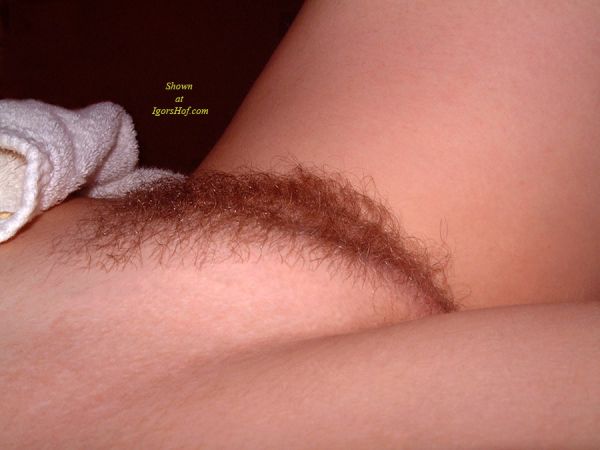 female vaginal hair