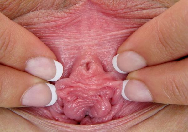 licking ass hole porn
