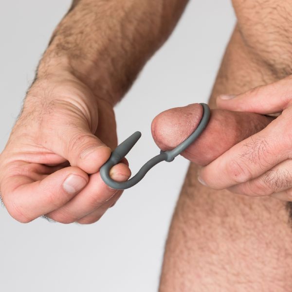 penis into vulva