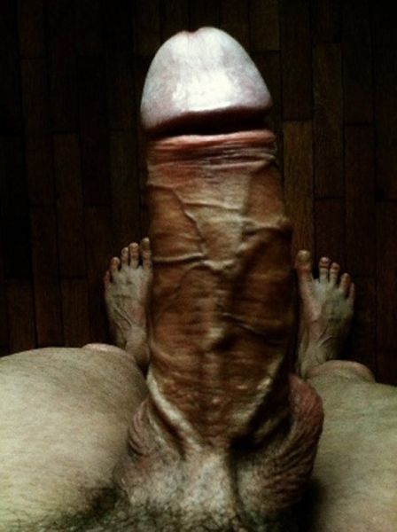 most hairy dick