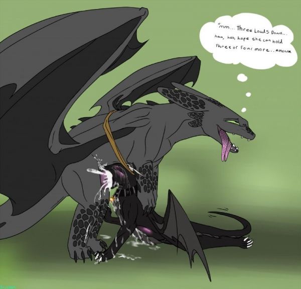 httyd rider