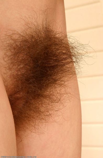 hairy pussy bulge