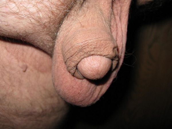 nude man huge cock selfie
