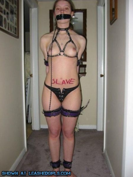 mark davis bdsm porn