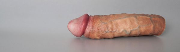 art penis size