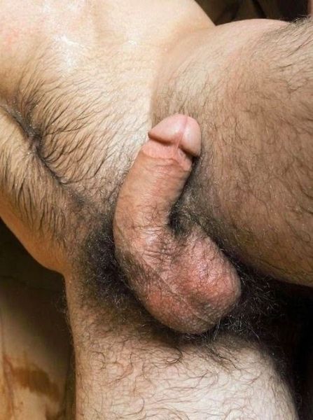 hairy male crotch spread