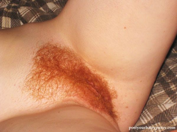 tight hairy pussy ginger