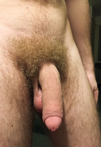 hairy foreskin penis
