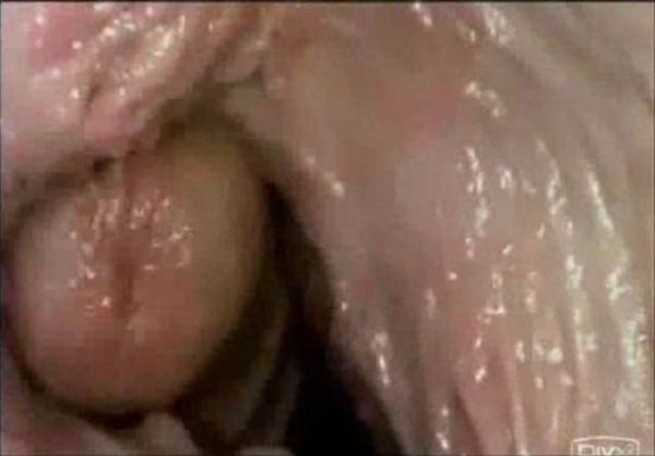 cock inside pussy porn