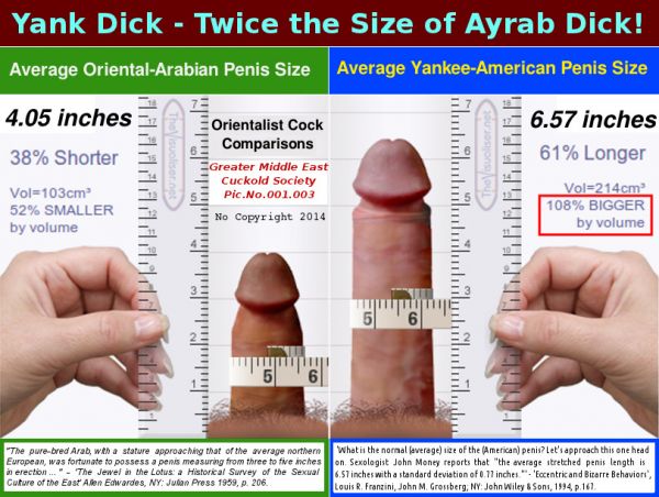 man average size erect penis